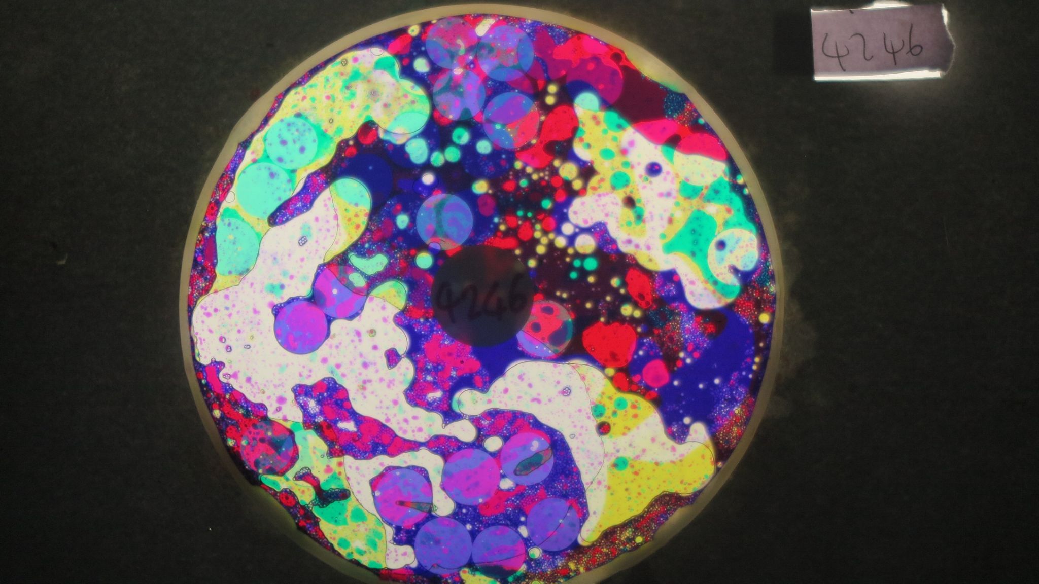 BV4246 bubble vision oil wheel